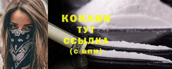 дживик Надым