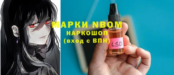 дживик Надым