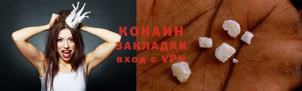 дживик Надым