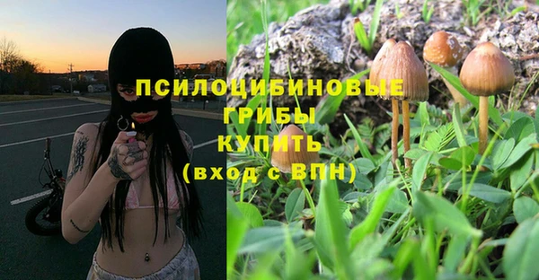 дживик Надым