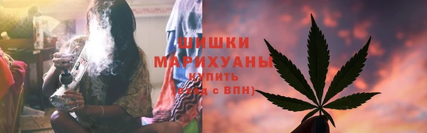 дживик Надым