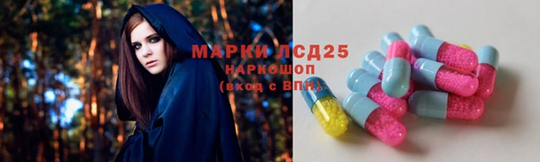 дживик Надым