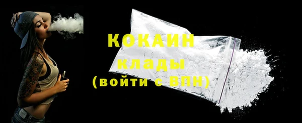 дживик Надым
