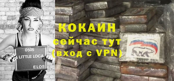дживик Надым