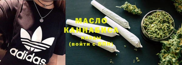 дживик Надым