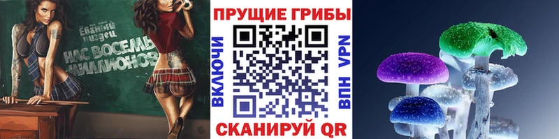 Купить  Сорочинск  Галлюциногенные грибы Psilocybine cubensis 
